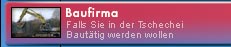 Baufirma